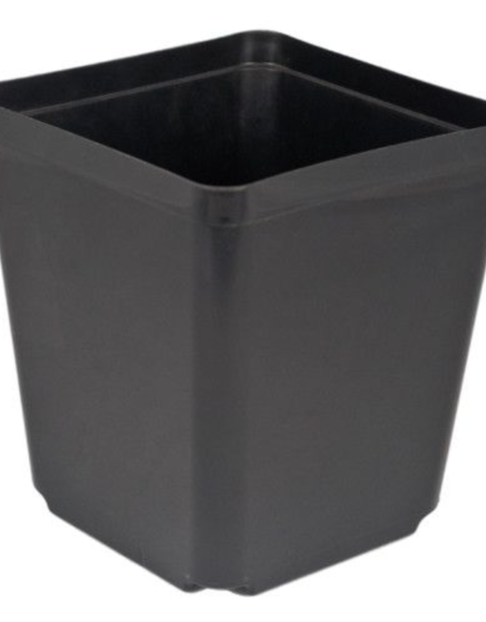 McConkey McConkey S55-1 5.5in Square Black Pot