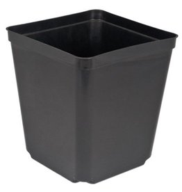 McConkey McConkey S55-1 5.5in Square Black Pot  NOT FOR RETAIL