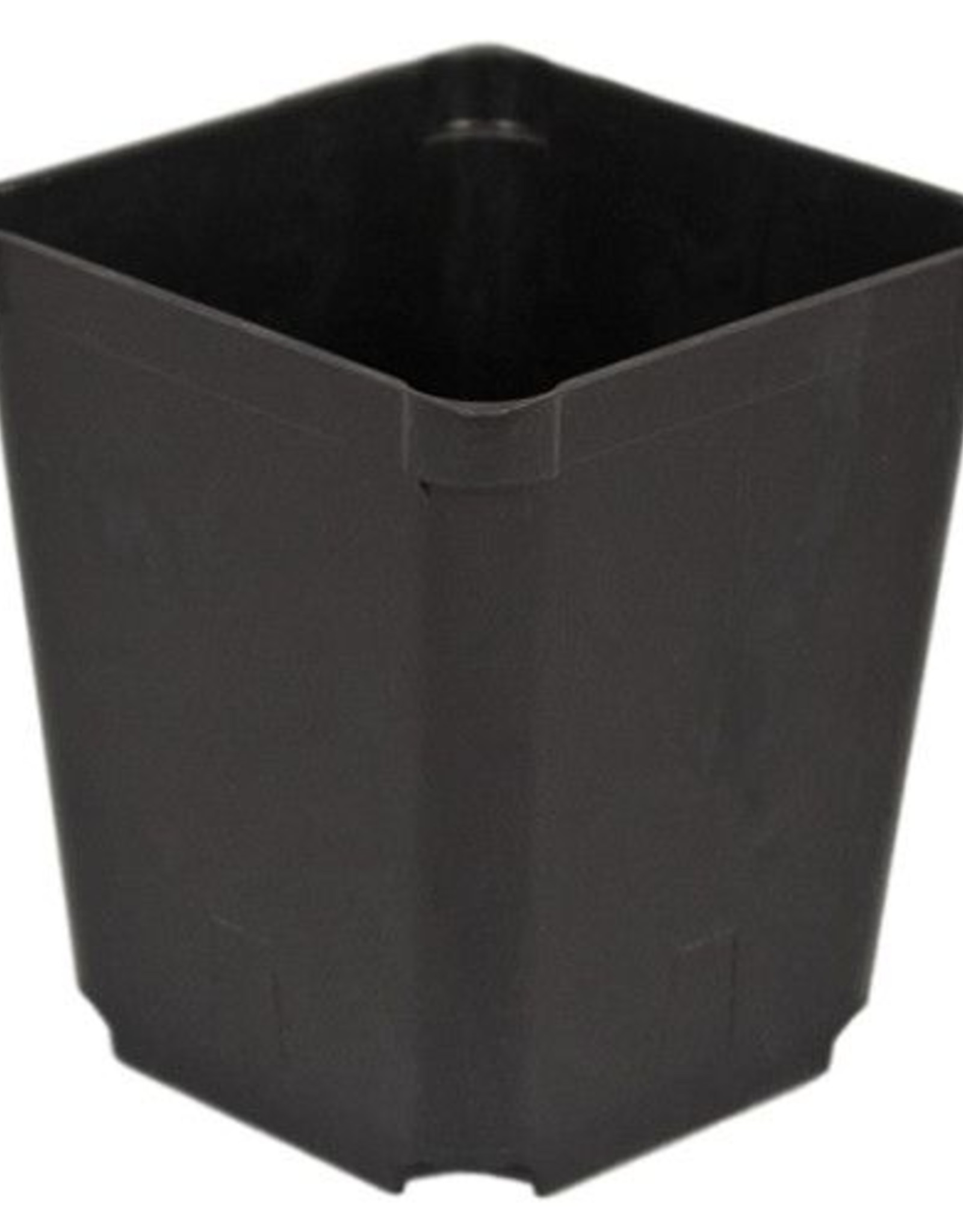 McConkey McConkey SR350-1 Perennial Square Black Pot 3.5in
