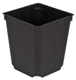 McConkey McConkey SR350-1 Perennial Square Black Pot 3.5in