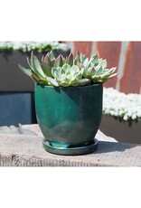 Pacific Home & Garden Verandah Maui Indoor Planter  - 7in - Jade