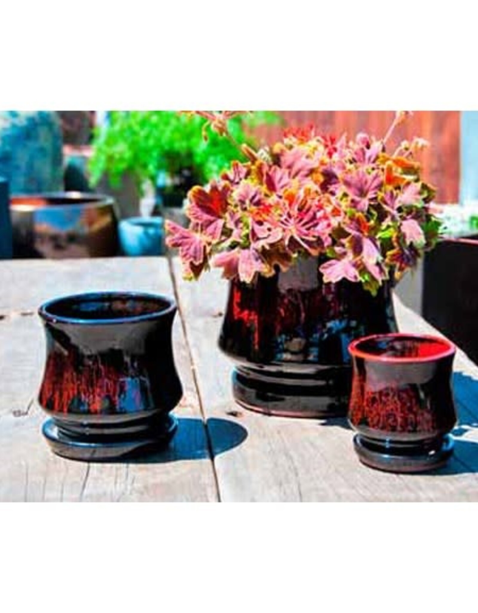 Pacific Home & Garden Verandah Lily Pots  - 7.5in Diam x 6.5in H - Red & Black