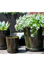 Pacific Home & Garden Verandah Lilac Pots with Attached Saucer Green - 4.5in Diam x 4.5in H
