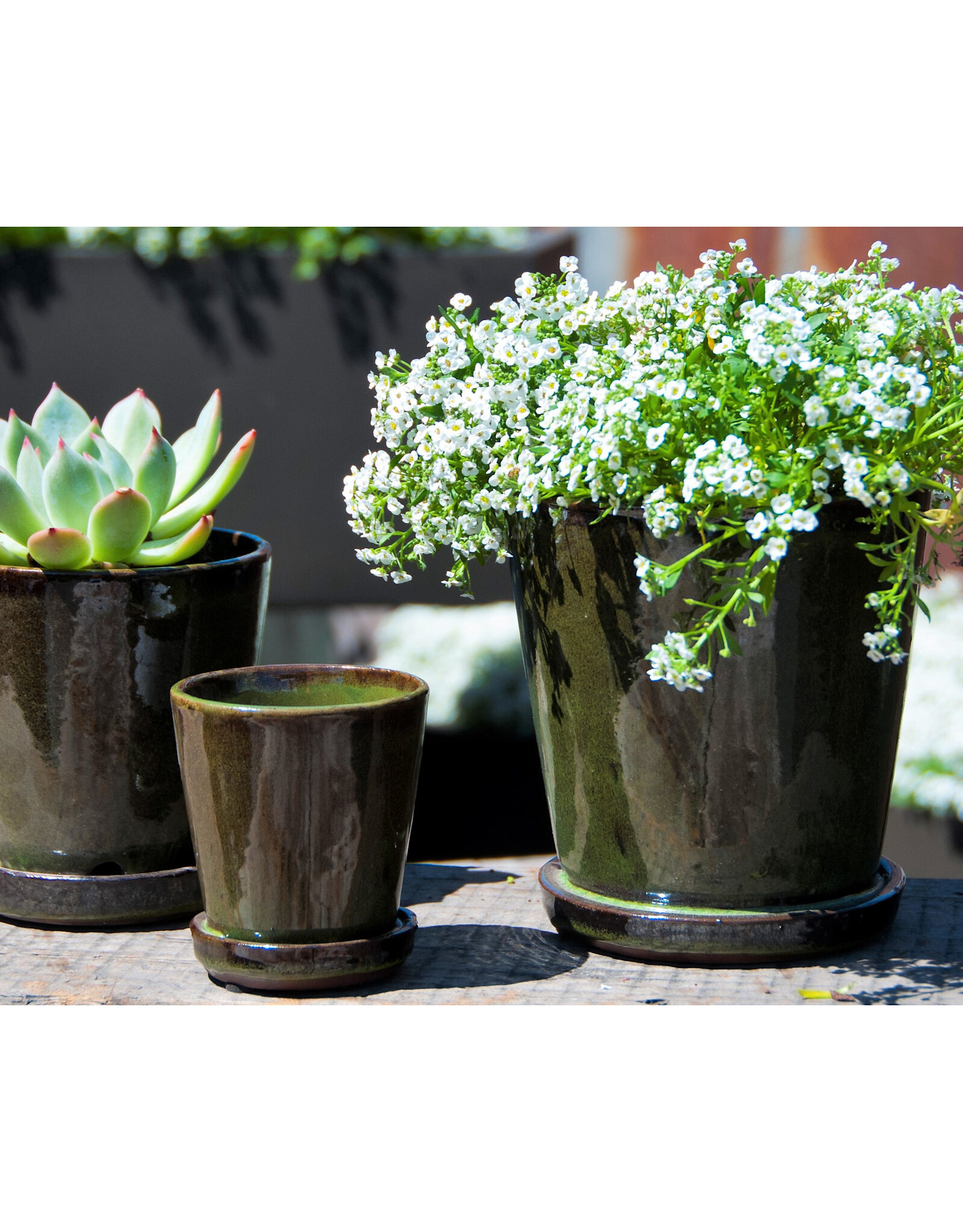 Pacific Home & Garden Verandah Lilac Pots with Attached Saucer Green - 4.5in Diam x 4.5in H