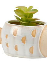 Flounder Planter 6.50" x 3.50" x 3"