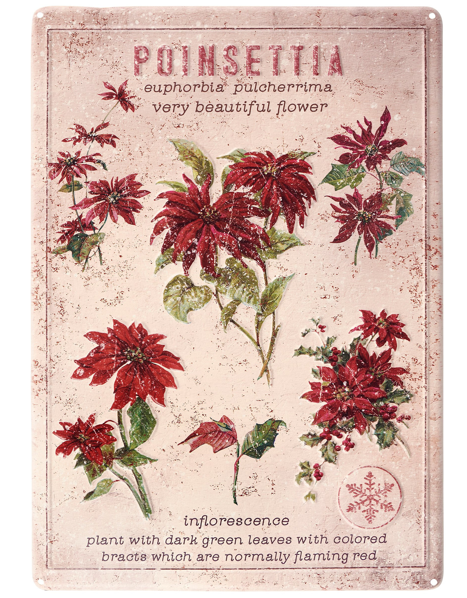 Poinsettia Wall Decor 10.75" x 15.50" x 0.25"