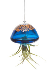 Apricot Mint™ Jellyfish Air Planter  - 3.5in x 2.5in - Lake Blue