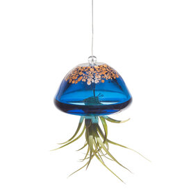 Apricot Mint™ Jellyfish Air Planter  - 3.5in x 2.5in - Lake Blue