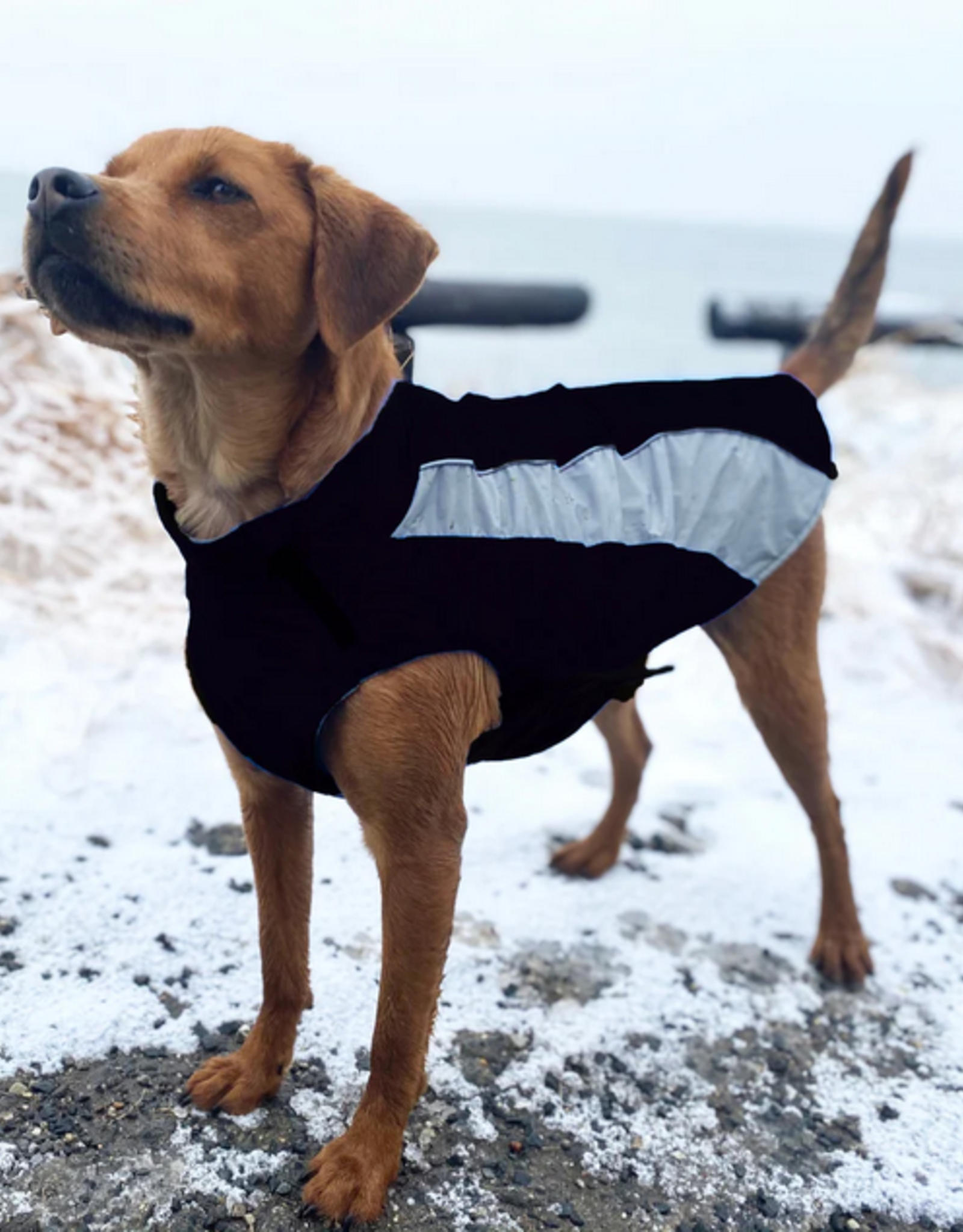 BayDog Coats:Saginaw Fleece 2.0 Black -L