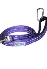Pensacola Leash Violet 6'