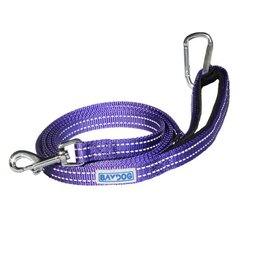 Pensacola Leash Violet 6'
