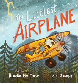 Littlest Airplane by Brooke Hartman