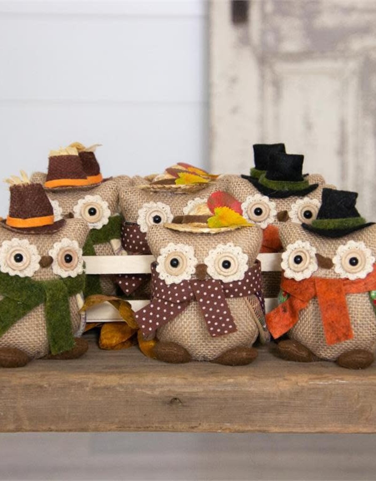 Autumn Owls With Scarves