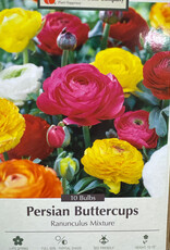 Netherland Bulb Company Ranunculus Mixture 10 /pack
