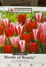 Netherland Bulb Company Tulip Delight Blend 12 /pack