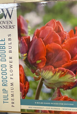 Netherland Bulb Company Tulip Rococo Double 8 /pack