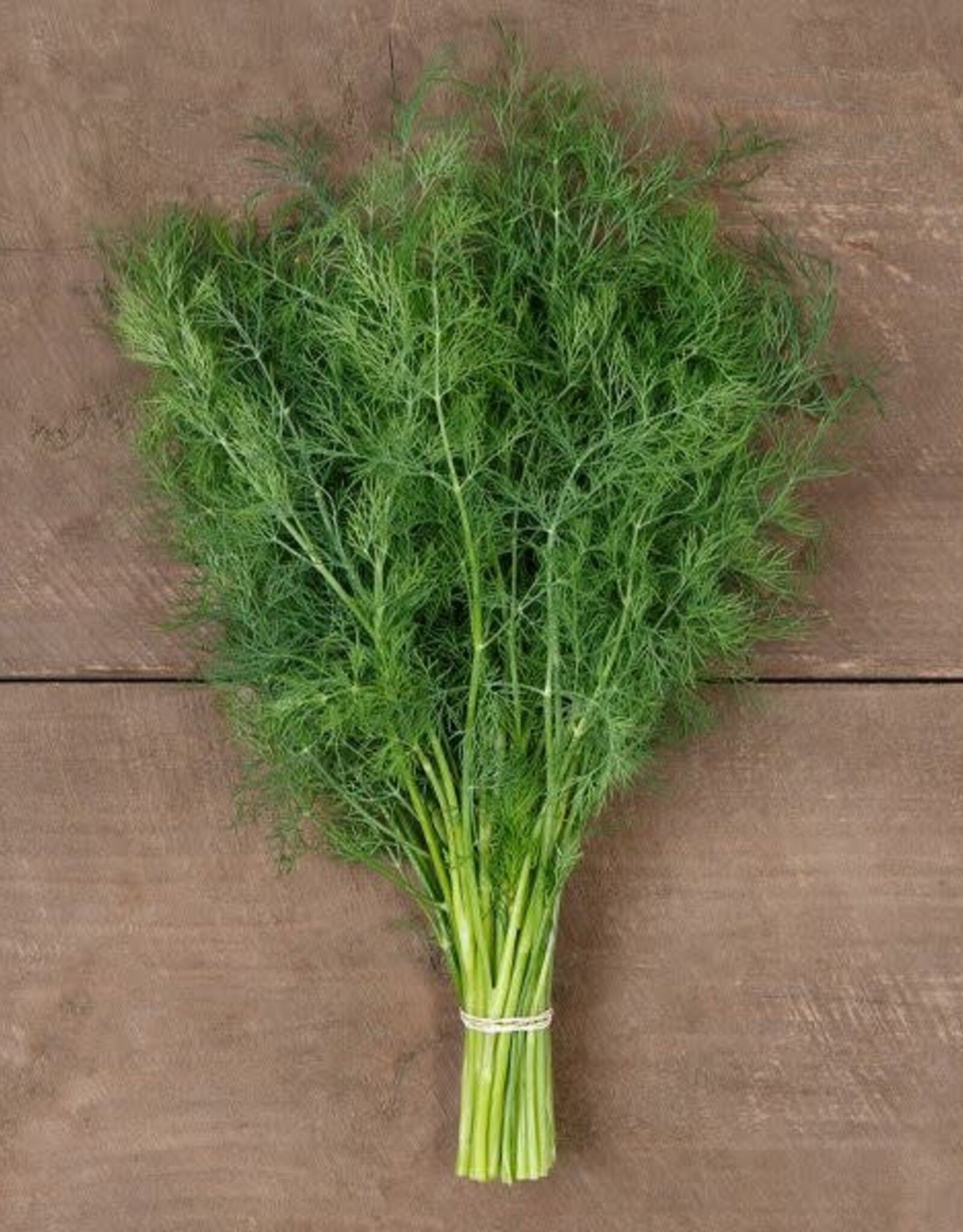 HM DILL NEW Ceres 1/32 oz