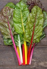 HM CHARD-NEW Peacock Formulated Blend 100 seeds