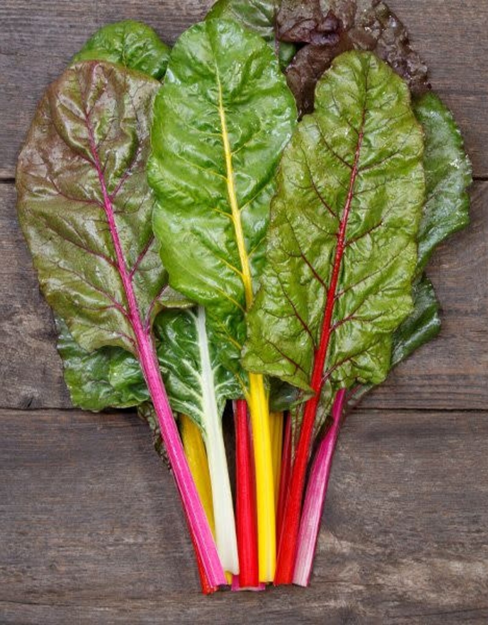 HM CHARD-NEW Peacock Formulated Blend 100 seeds