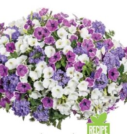 Proven Winners Annual Hanging Basket- Moonlit Lavender 12 inch-2026 PRE-BOOK