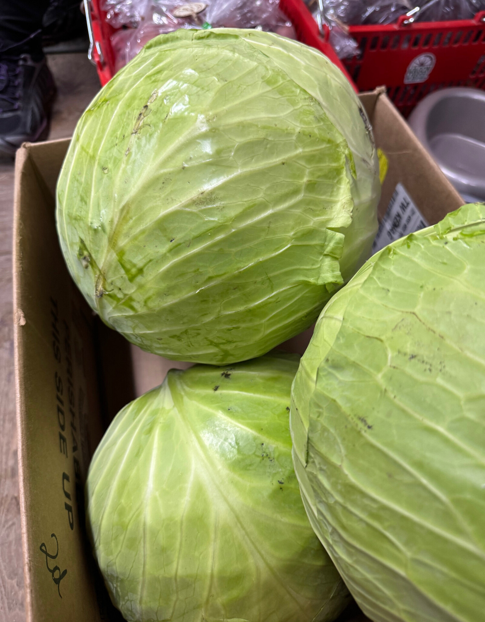 Local Grown Cabbage per tenth of a pound  7-8lb each!