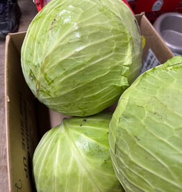 Local Grown Cabbage per tenth of a pound  7-8lb each!