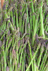 Bron and Sons Asparagus 'Jersey Knight' #1 - Jersey Knight Asparagus