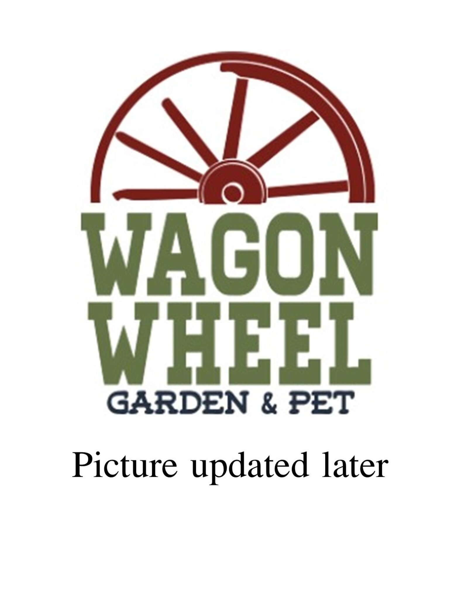 Bron and Sons Juniperus communis 'Pencil Point" #2 Juniper