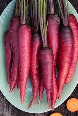 High Mowing Seed HM Dragon Carrot 1/32oz