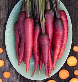 High Mowing Seed HM Dragon Carrot 1/32oz