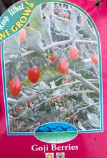 Bron and Sons Lycium barbarum #1 - Goji Berries