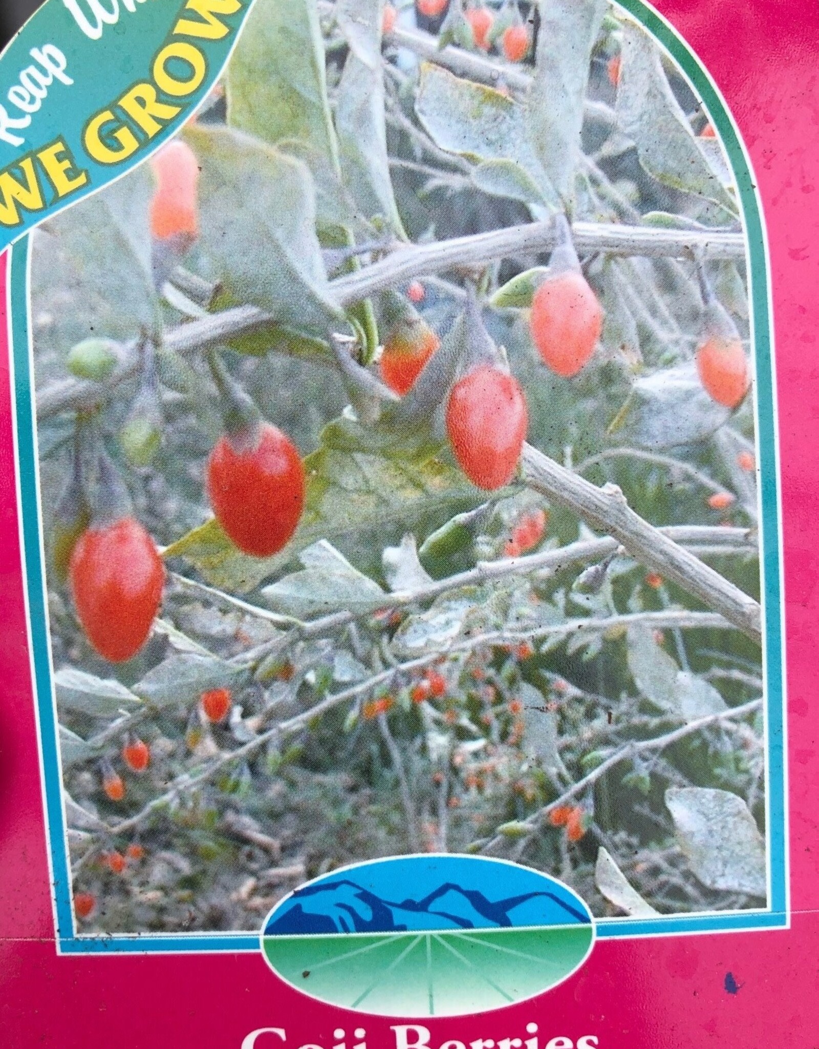 Bron and Sons Lycium barbarum #1 - Goji Berries