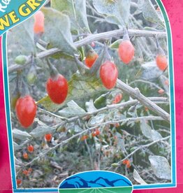 Bron and Sons Lycium barbarum #1 - Goji Berries