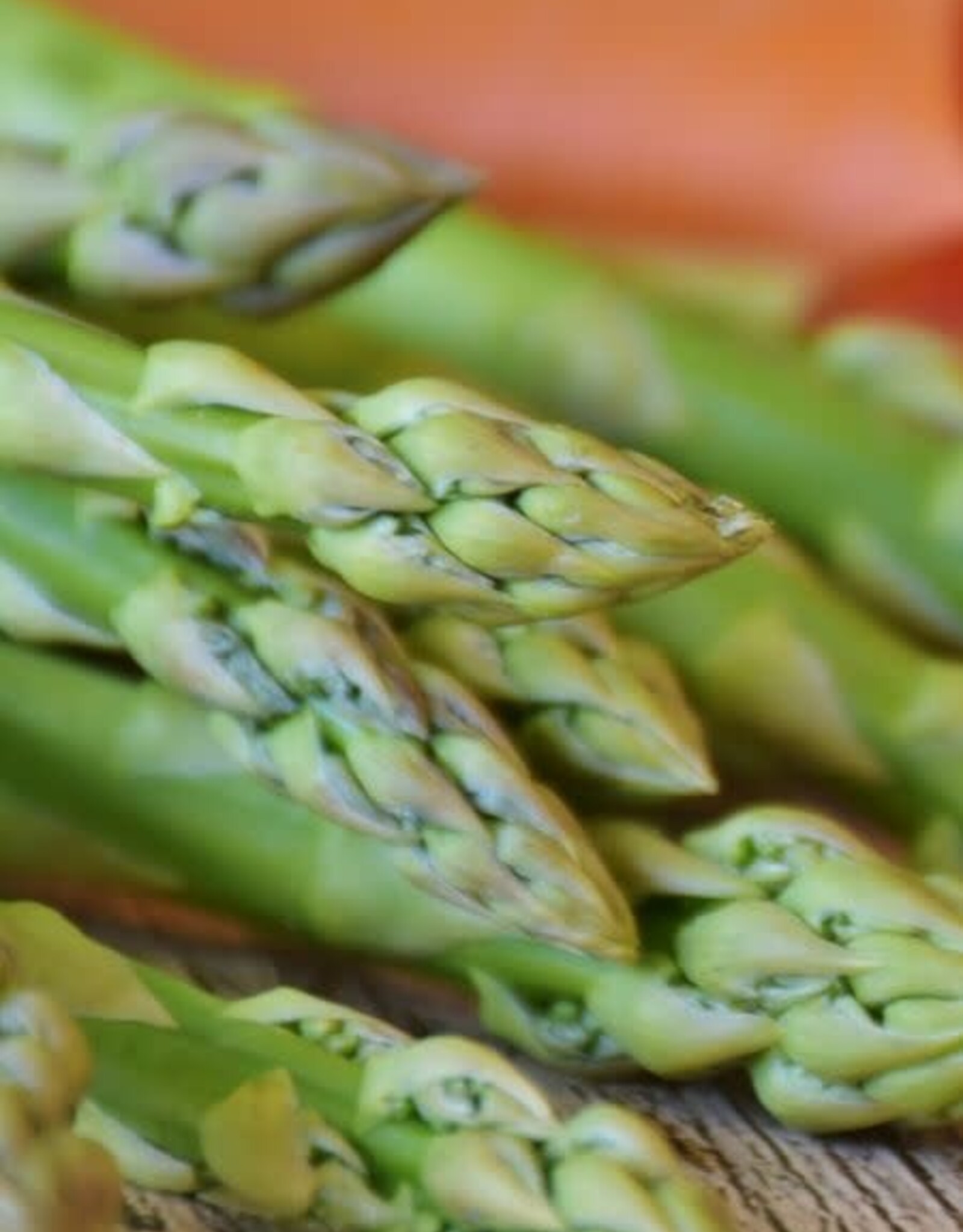 Bron and Sons Asparagus 'Millenium' #1  Millenium Asparagus