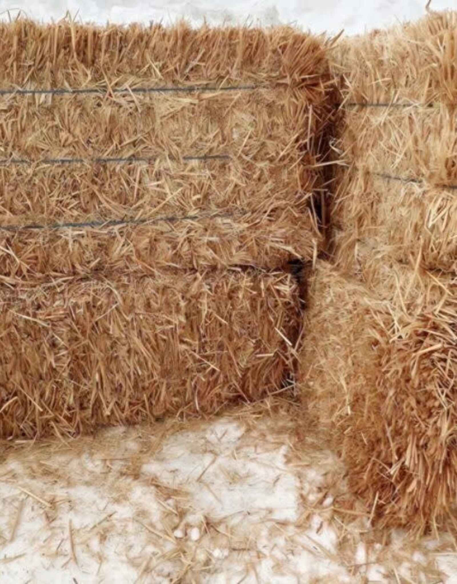 Eckenberg Farms AFS Big Bale  3 tie Straw Bale by Ward Rugh apx 88lbs