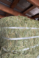 Eckenberg Farms AFS Compressed Alfalfa Hay by Eckenberg Farms