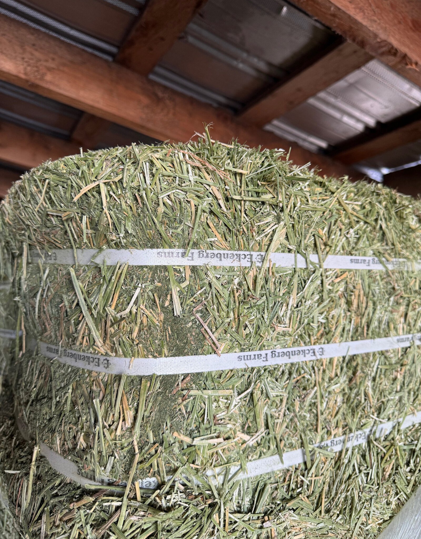 Eckenberg Farms AFS Compressed Alfalfa Hay by Eckenberg Farms