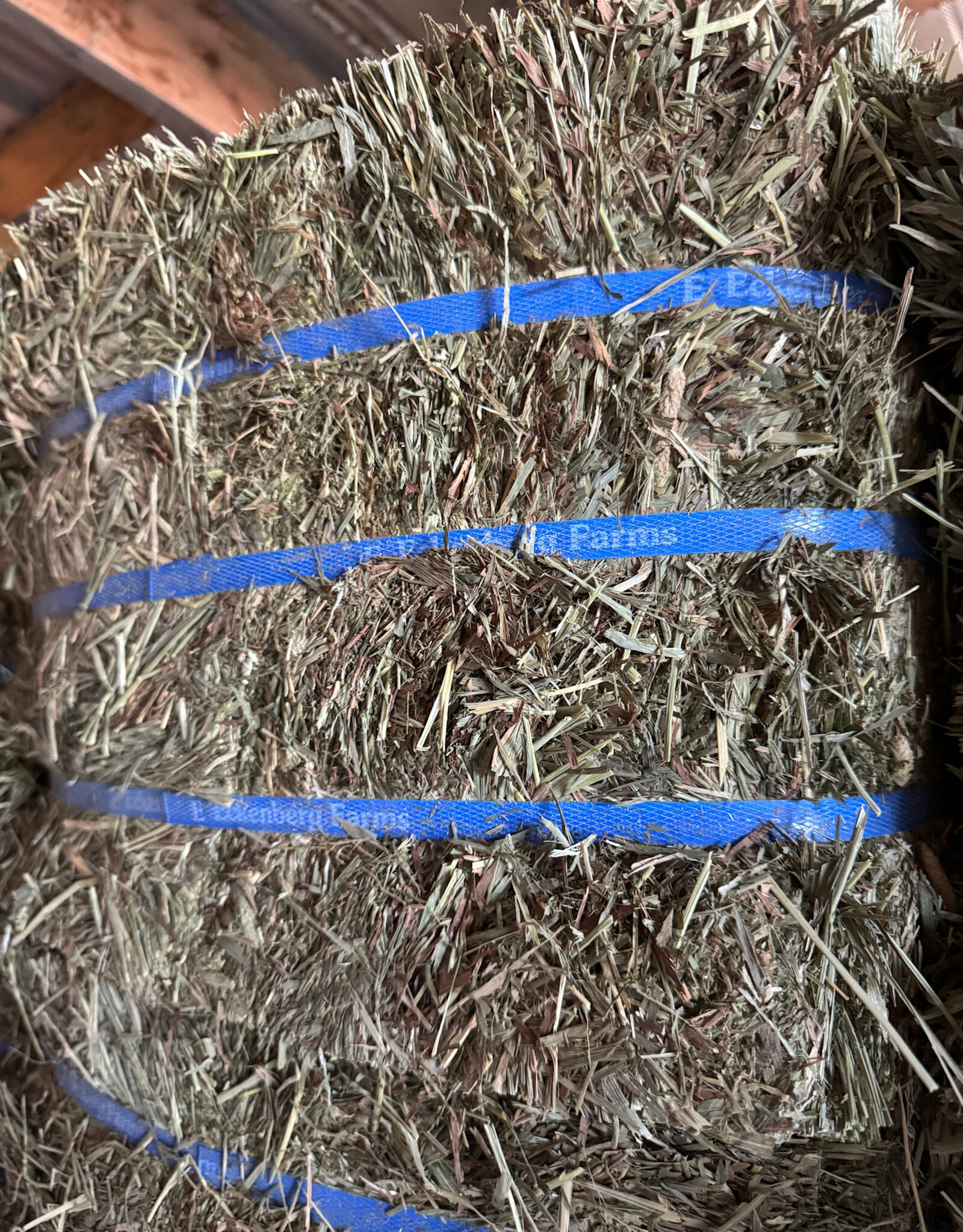 Eckenberg Farms AFS Compressed Timothy Hay by Eckenberg Farms
