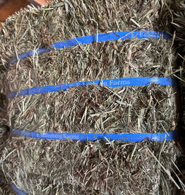 Eckenberg Farms AFS Compressed Timothy Hay by Eckenberg Farms