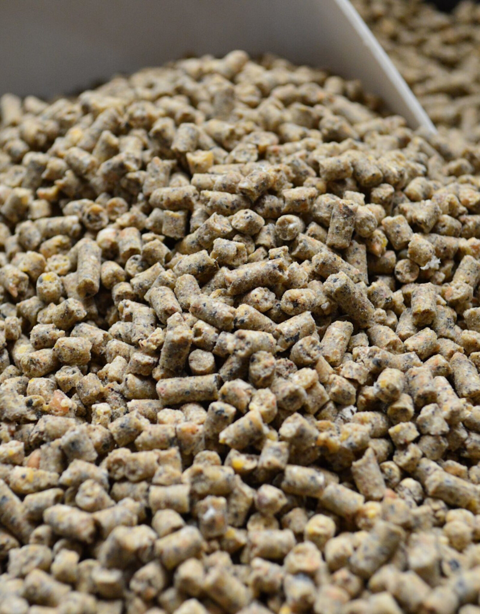 Alaska Farm Supply AFS Layer Pellets NCNS 20%  50lbs