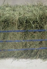 Eckenberg Farms AFS Compressed  Orchard Hay by Eckenberg Farms