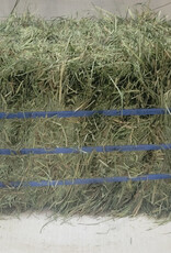 Eckenberg Farms AFS Compressed  Orchard Hay by Ward Rugh Farms