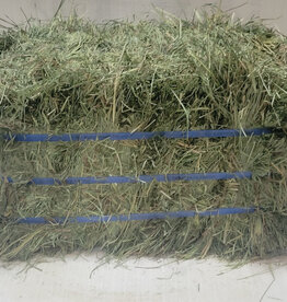 Eckenberg Farms AFS Compressed  Orchard Hay by Ward Rugh Farms