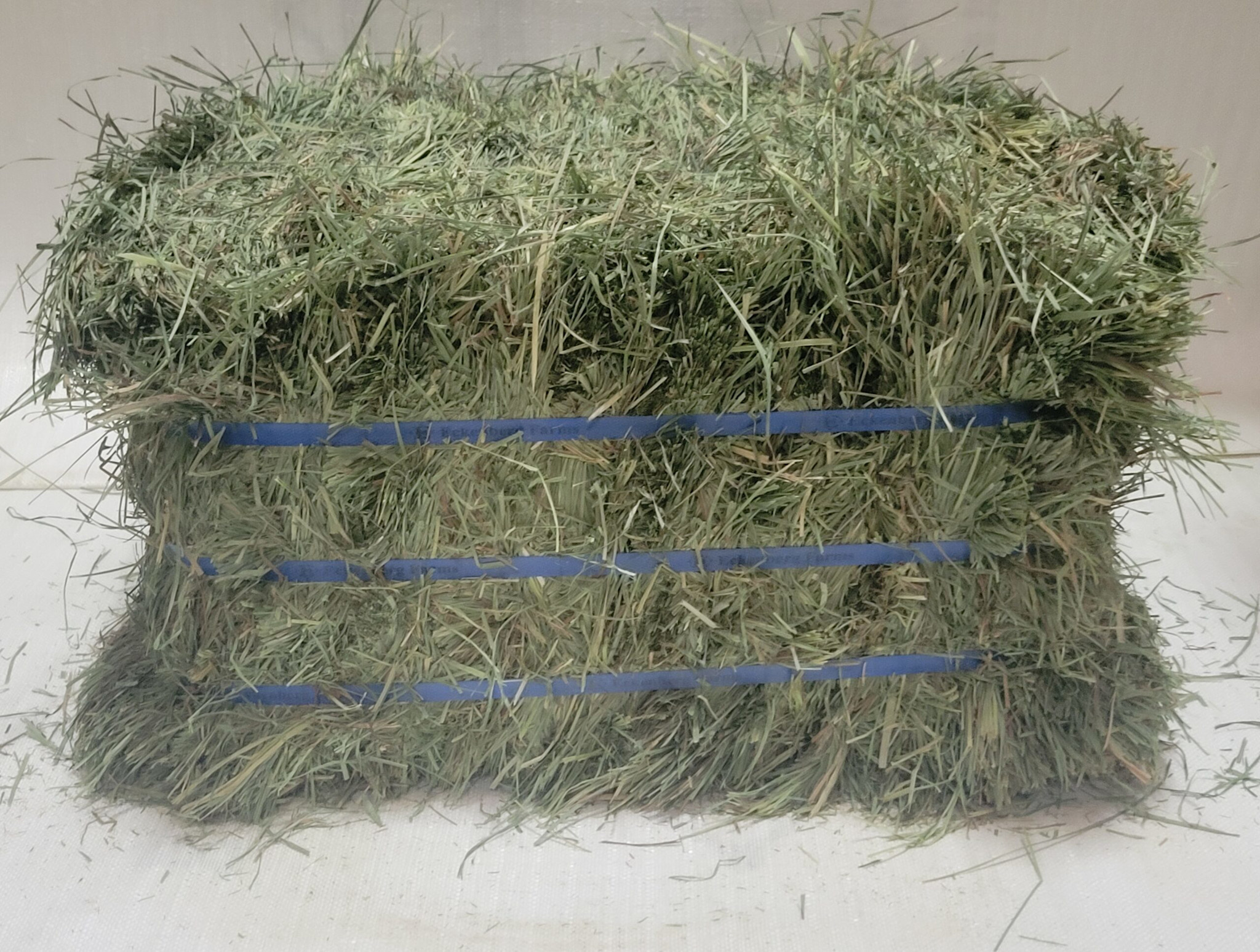 Eckenberg Farms AFS Compressed Orchard Hay by Eckenberg Farms - Wagon Wheel