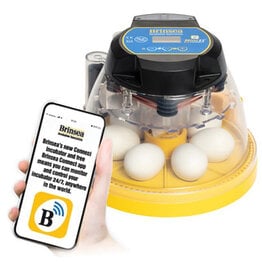 Brinsea Mini 2 Connect Incubator