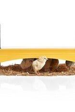 Brinsea EcoGlow 1200 Chick Brooder