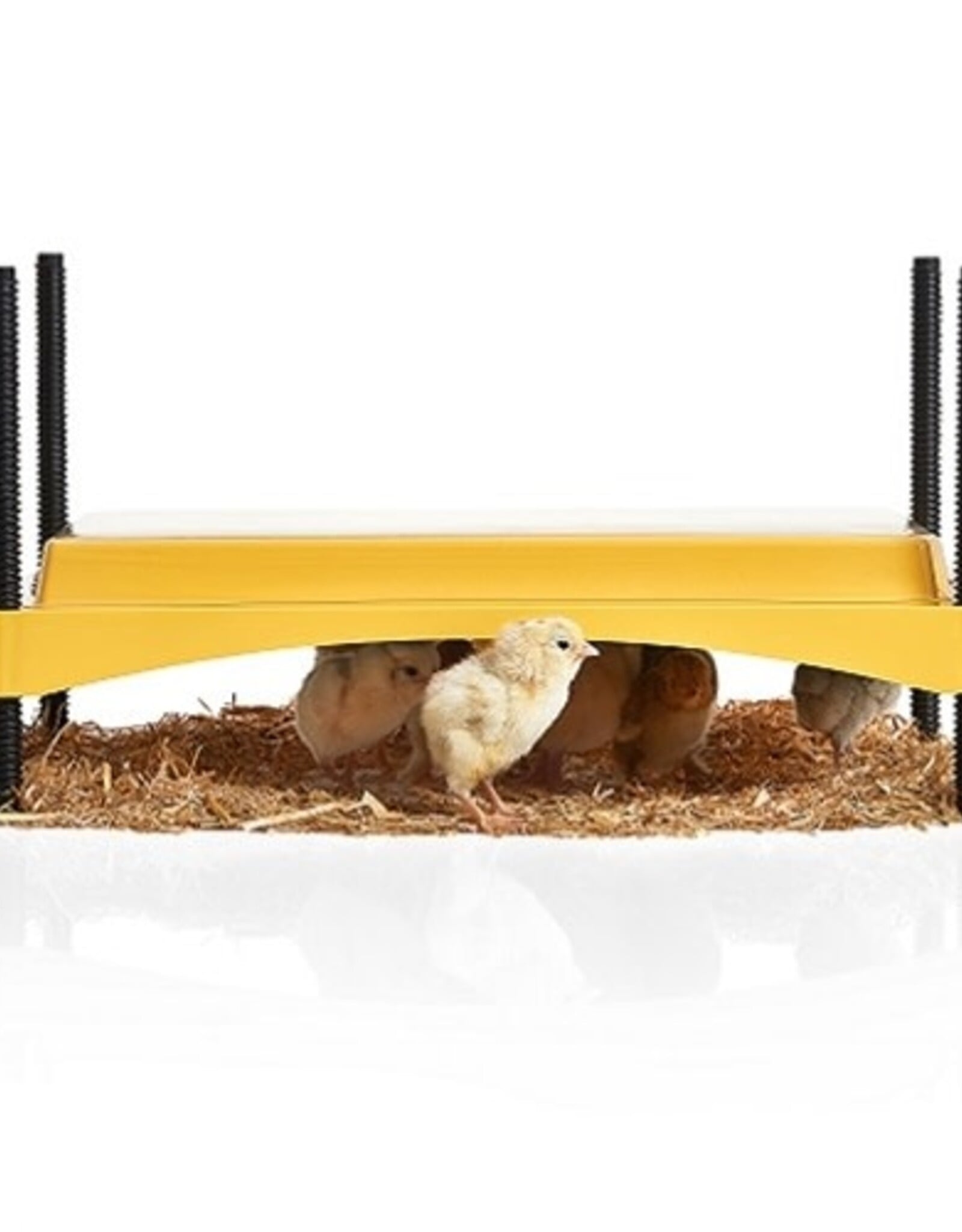 Brinsea EcoGlow 1200 Chick Brooder