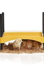 Brinsea EcoGlow 600 Chick Brooder