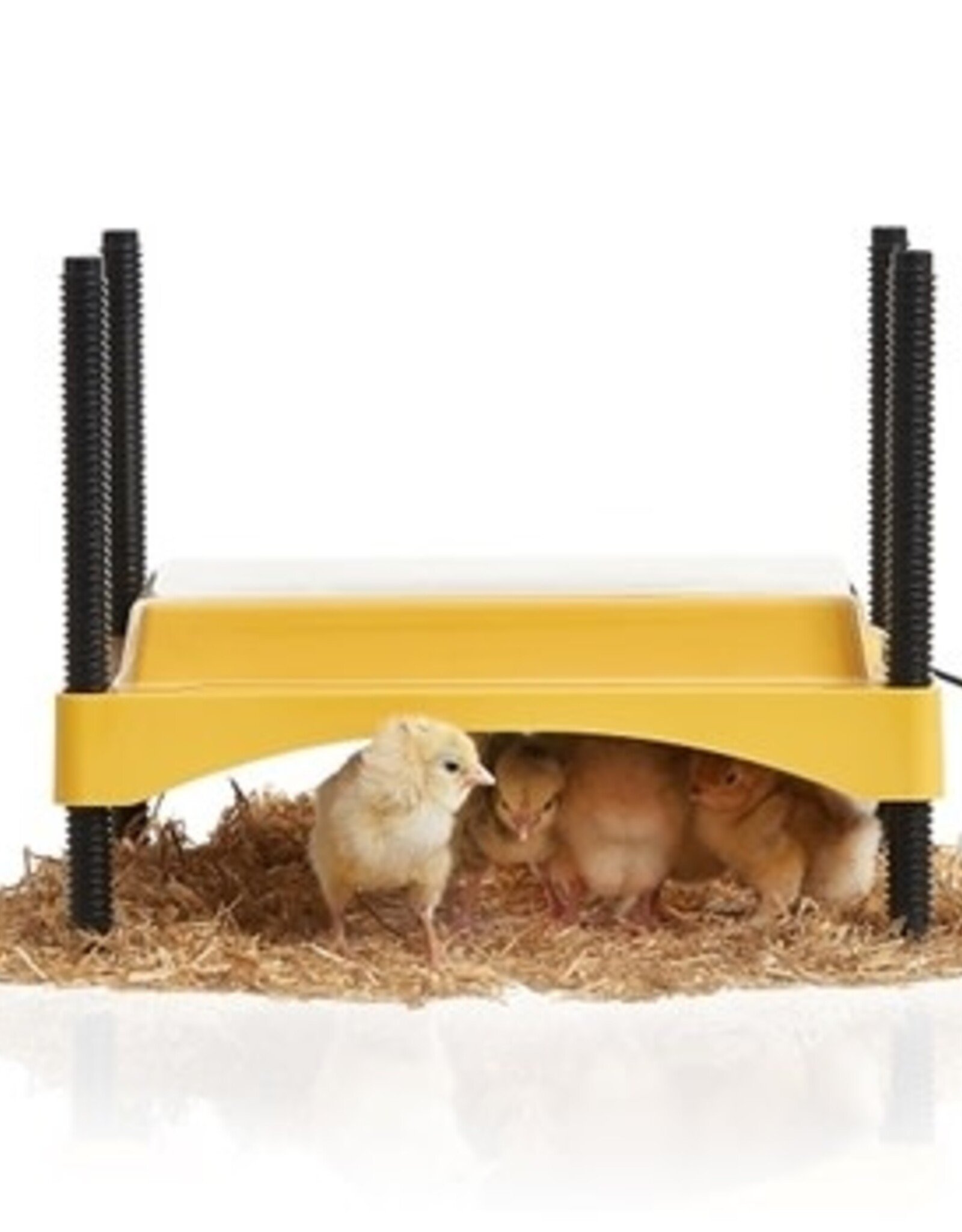 Brinsea EcoGlow 600 Chick Brooder