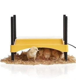 Brinsea EcoGlow 600 Chick Brooder